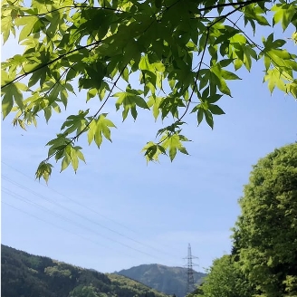 インスタグラムから取得した2枚目の画像が入ります